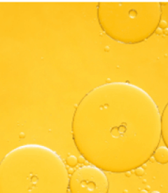 Actif vitamine C