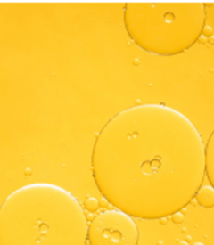 Actif vitamine C