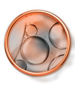 da_actine_zinco_assets_3282770153477