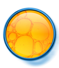 da_nutriol_lamina_active-ingredient_vitamin-c_br
