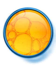 da_nutriol_lamina_active-ingredient_vitamin-c_br