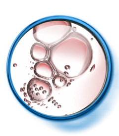 da_nutriol_toolkit-acidos_grasos_br