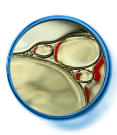 da_nutriol_toolkit-cera_alba_br copia