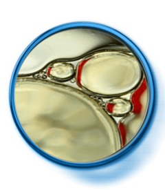 da_nutriol_toolkit-cera_alba_br copia