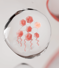 AVENE-ACTIF-IMODULIA