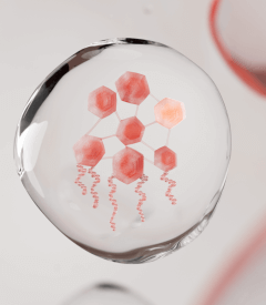 AVENE-ACTIF-IMODULIA