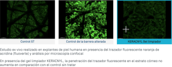 ES-Gel Moussant · Préserve la barrière cutanée.png