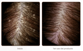 Photo 1 sujet 2 doctar