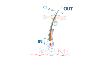 SCHEMA-POUSSE-CHEVEUX-IN-AND-OUT 1