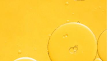 Actif vitamine C
