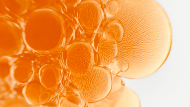 ad_ingredient_helichrysum_full frame_09.2025